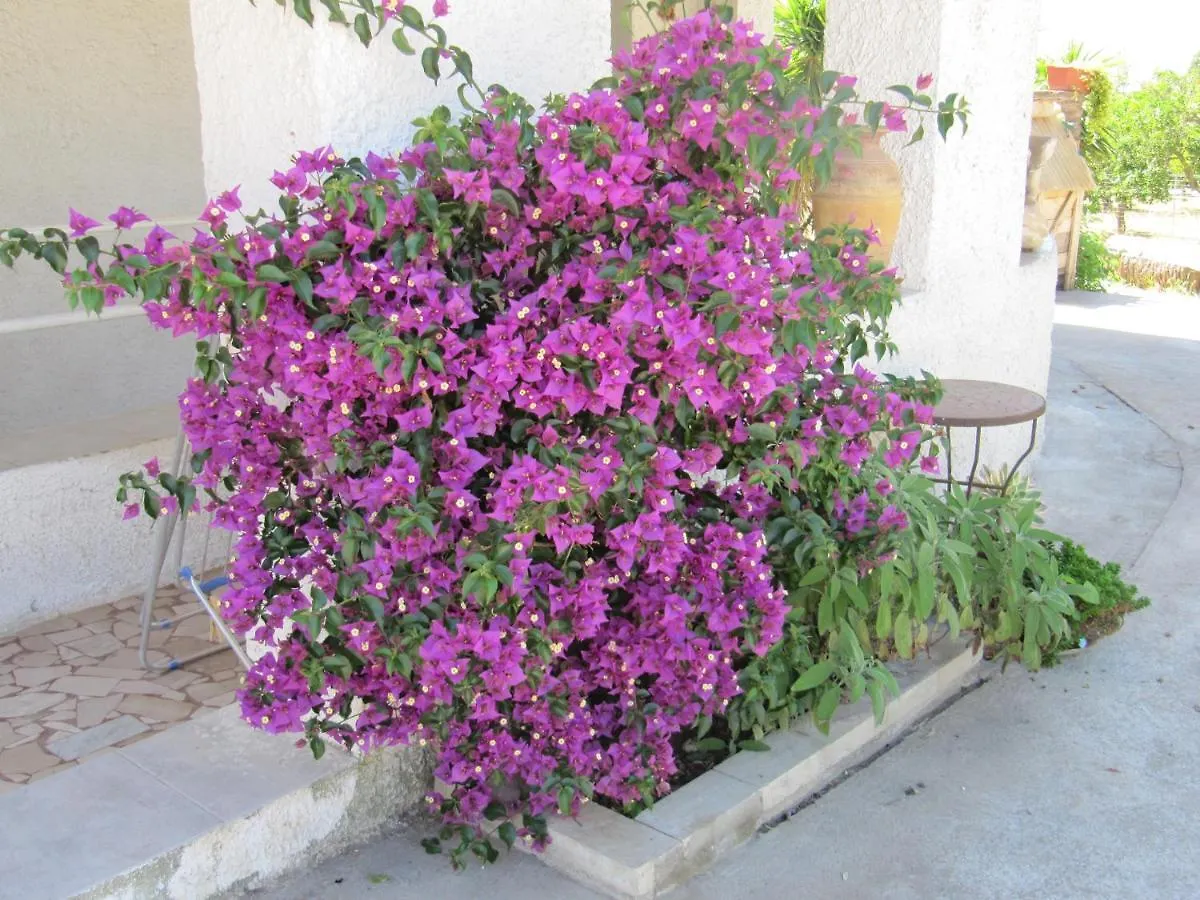 B&B I Limoni Sorso 0*,