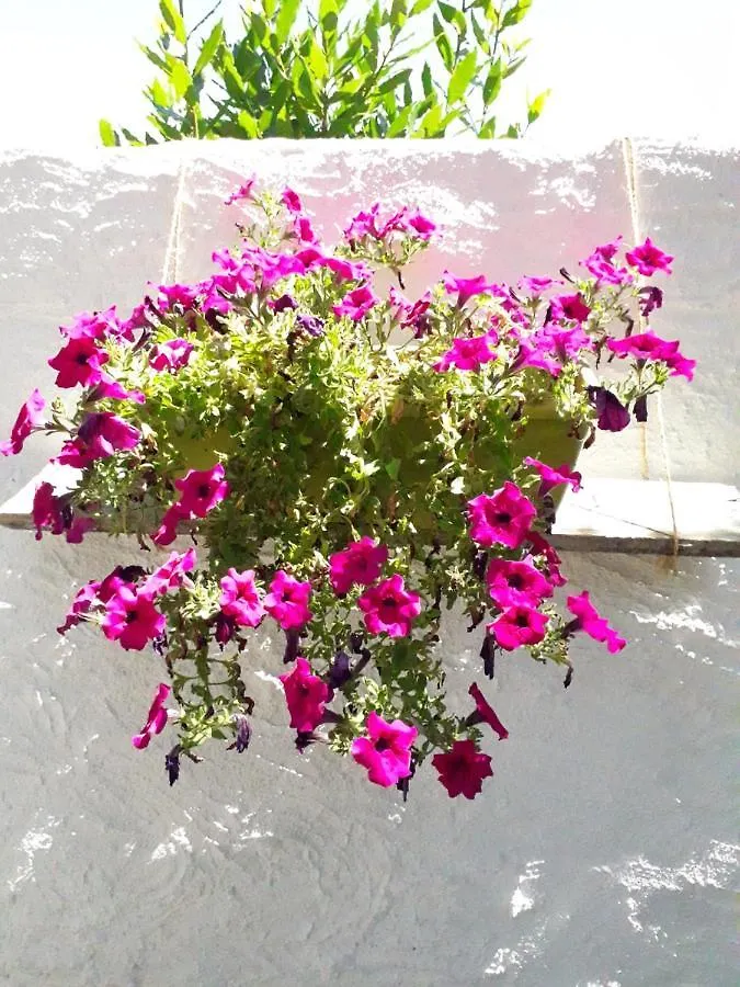 B&B I Limoni Sorso